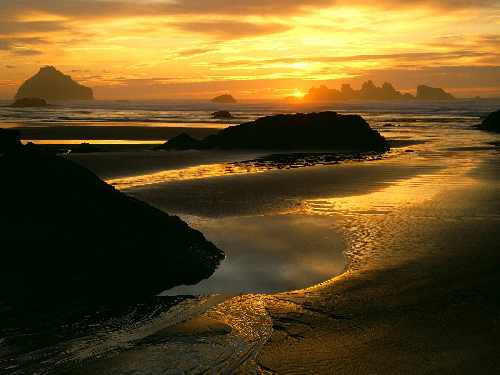 usługi koparko ładowarką Bydgoszcz