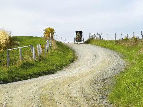 kostka brukowa Poznań