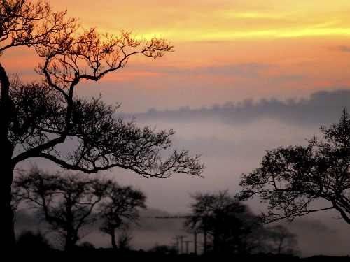 usługi koparko-ładowarką Bydgoszcz