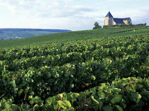 Borek Wielkopolski fotowoltaika