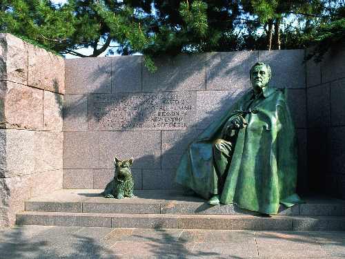 koparka w Bydgoszczy