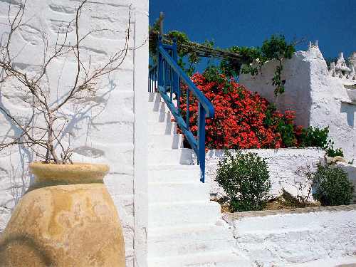 usługi koparką Bydgoszcz cennik