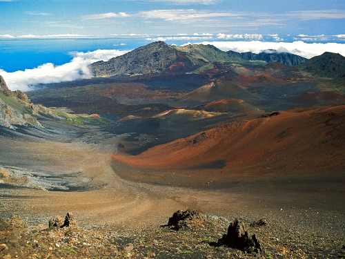 hodowle border collie Rybnik
