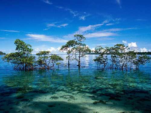 Toruń układanie kostki z materiałem