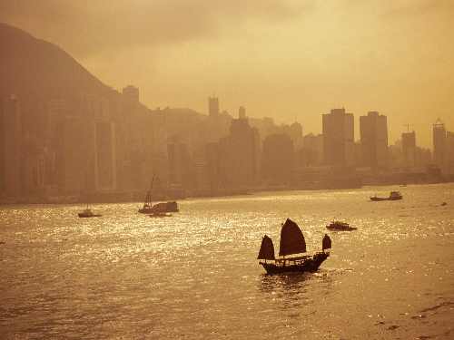 usługi koparką w Bydgoszczy