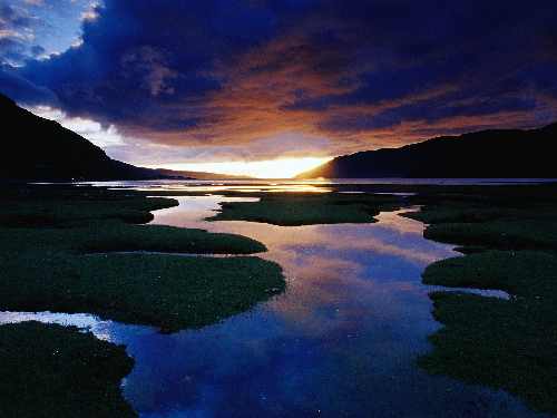 Gdynia border collie hodowla