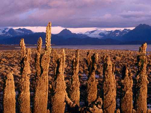 firma brukarska w Krotoszynie
