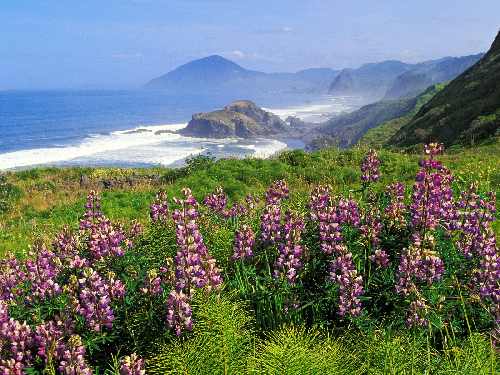 firma brukarska Bydgoszcz