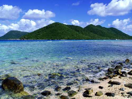 hodowla szczeniaków fci border collie