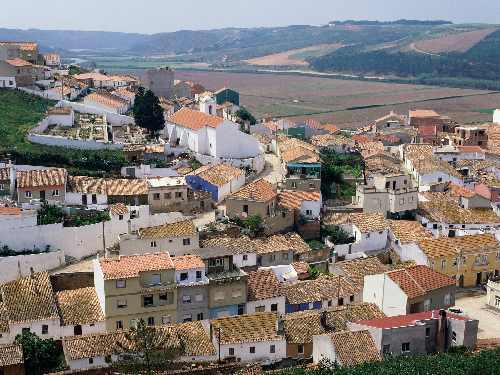 wynajem koparki Bydgoszcz