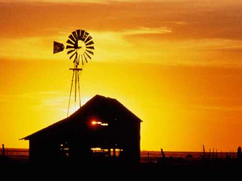 Bydgoszcz koparka wypożyczalnia