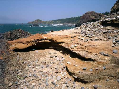 koparka w Bydgoszczy