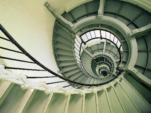 hodowle border collie Kraków