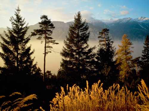układanie kostki brukowej Piła