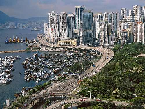 tania hodowla border collie