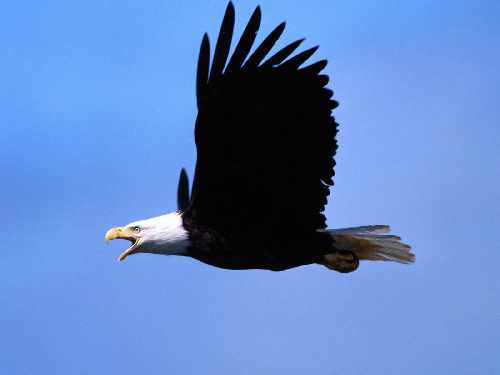 Toruń układanie brukowej z materiałem