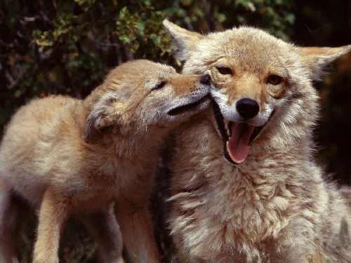 układanie kostki brukowej Koszalin