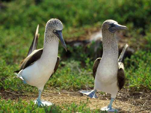 koparki w Bydgoszczy