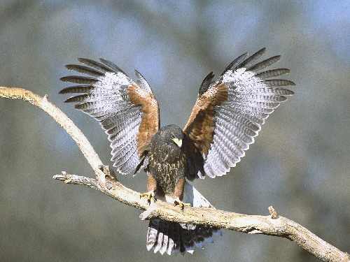 koparki w Bydgoszczy