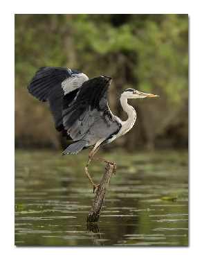 ekipa brukarska Grudziądz