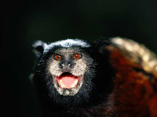 Fotowoltaika Tuliszków