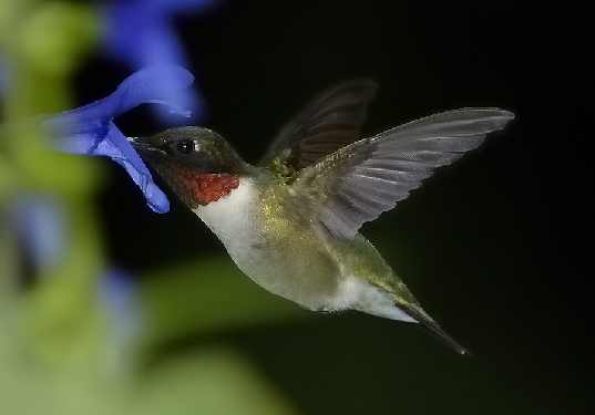 usługi koparką Bydgoszcz