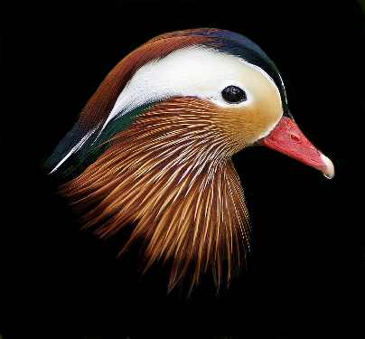 fotowoltaika Jarocin