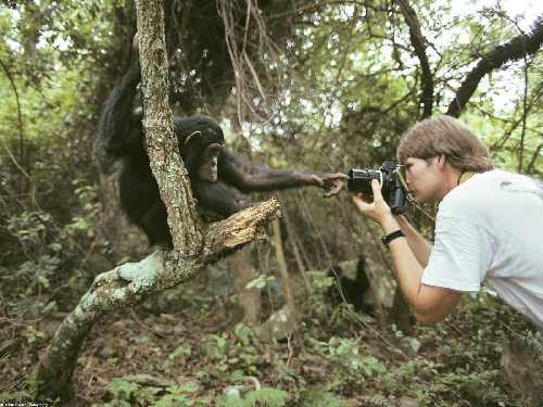 układanie granitowej kostki brukowej Szczecin