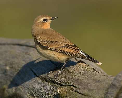 prace ziemne Bydgoszcz