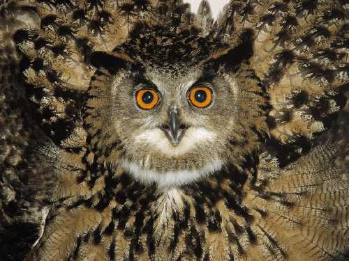 Margonin fotowoltaika