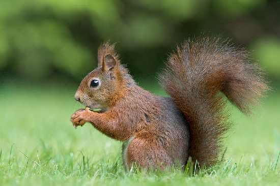 prace ziemne Bydgoszcz