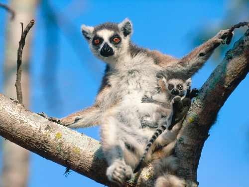 Fotowoltaika Strzelin