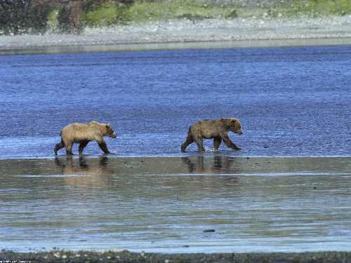 Bydgoszcz koparko ladowarka kucie betonu
