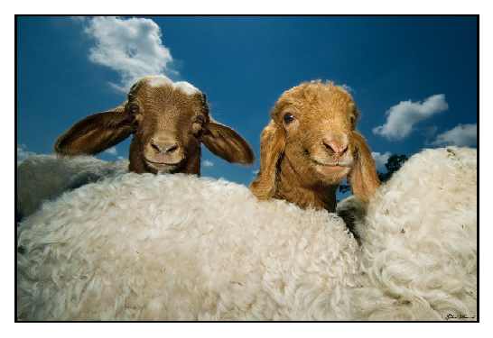 Pleszew układanie bruku