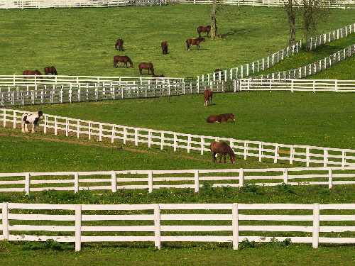 usługi koparko-ładowarką Bydgoszcz usługi koparko-ładowarką Bydgoszcz