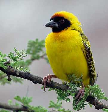 Międzybórz fotowoltaika