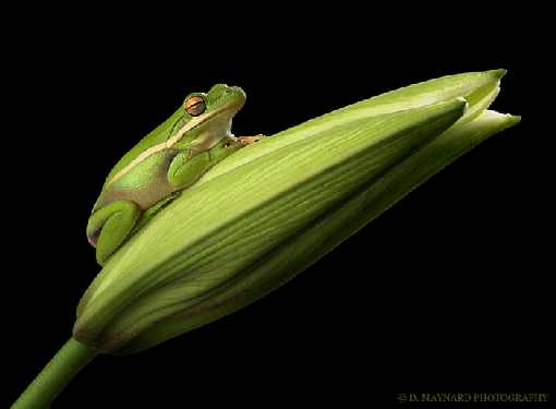 koparka wynajem Bydgoszcz