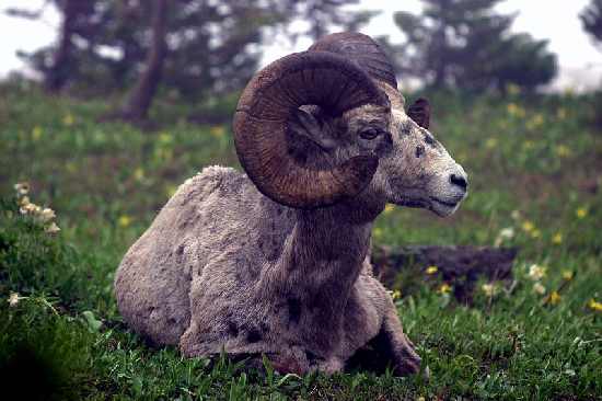 układanie kostki Bydgoszcz