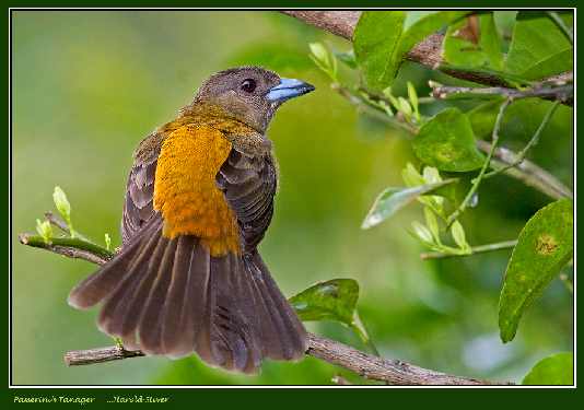 fotowoltaika Bogatynia