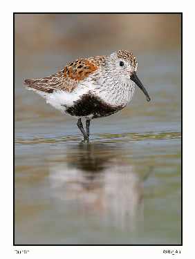 koparki w Bydgoszczy kanalizacje