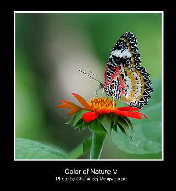 koparka z operatorem Bydgoszcz koparka z operatorem Bydgoszcz