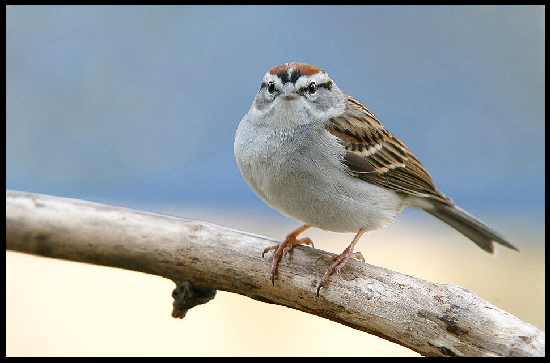 panele fotowoltaiczne Dolnośląskie