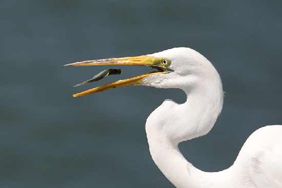 koparki w Bydgoszczy