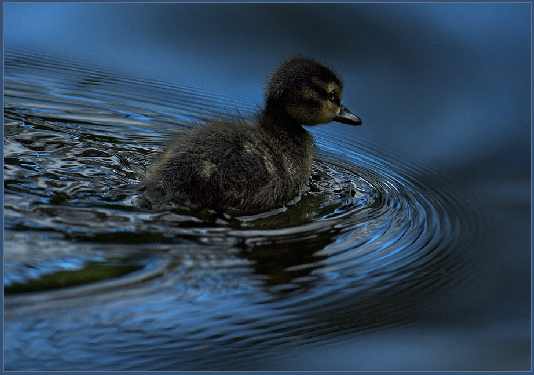 układanie płyt ażurowych Wrocław