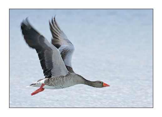 dobra firma układanie pozbruku Piła