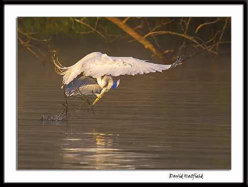 roboty ziemne Bydgoszcz