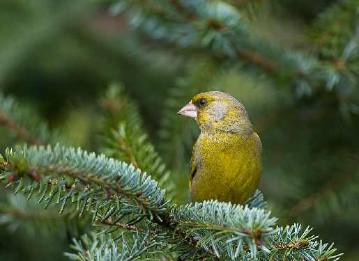 układanie kostki brukowej Bydgoszcz