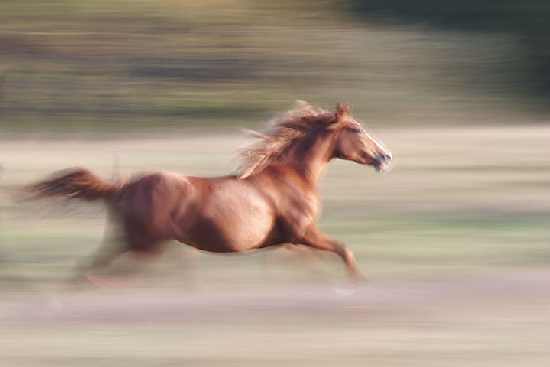 usługi brukarskie w Turku