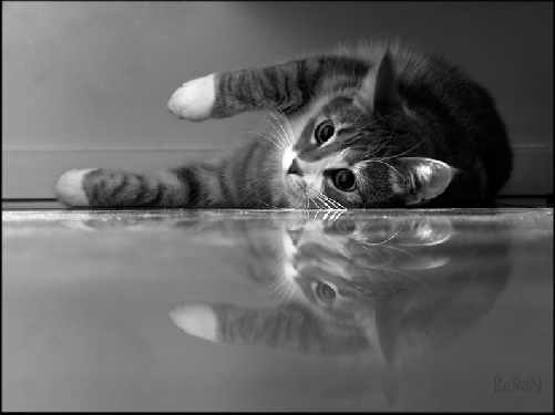 Czarnkow tanie ukladanie kostki brukowej