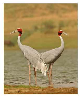 niwelacja terenu Bydgoszcz